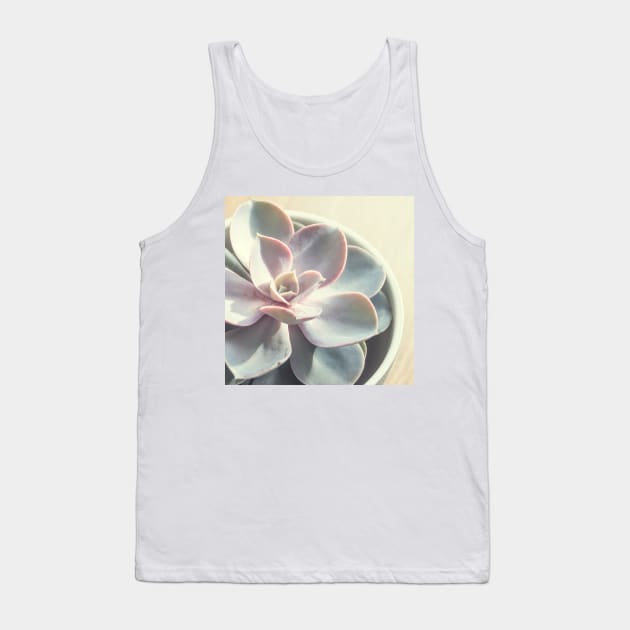 Echeveria Succulent #3 Tank Top by Debra Cox 